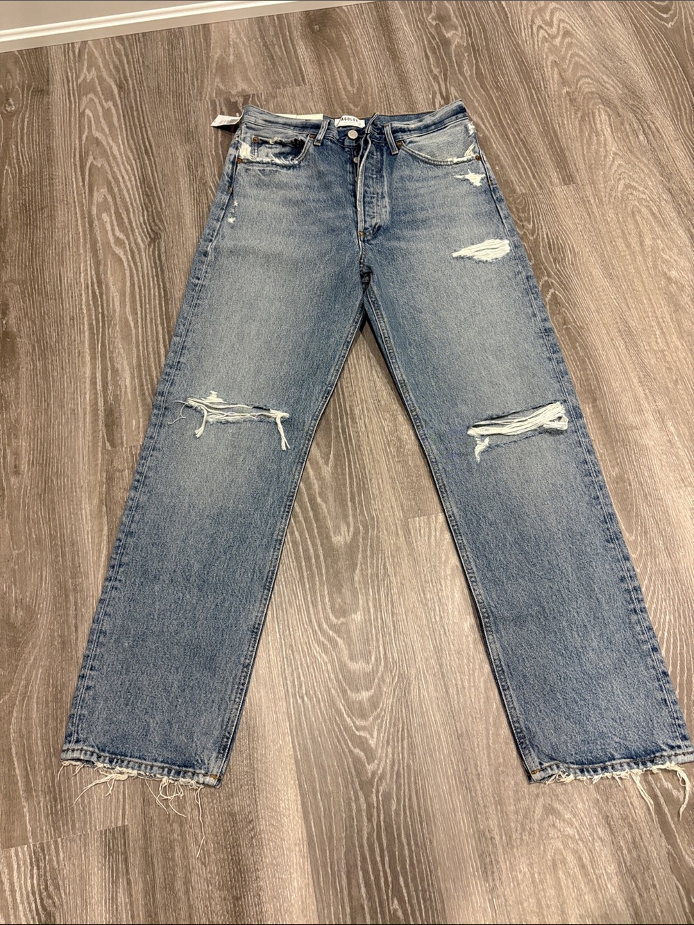 Agolde ( Aritzia) Relaxed Distressed Jeans in Light Blue